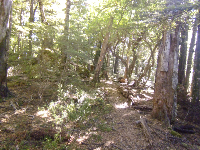 2012-04-22 11.48.05 2012-04-22 11.48.05